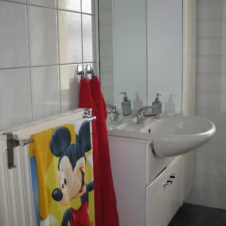 Ferienwohnung Mit Garten Und Spielplatz Klingenthal Buitenkant foto