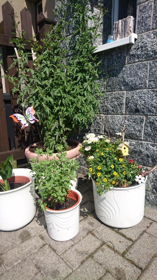 Mit Garten Und Spielplatz Апартаменты